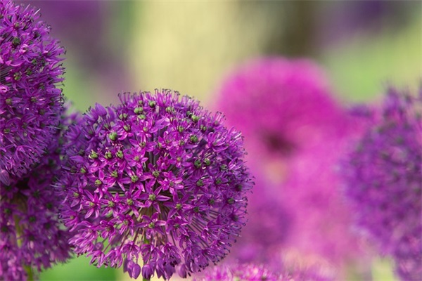 高中语文教学札记范例6篇