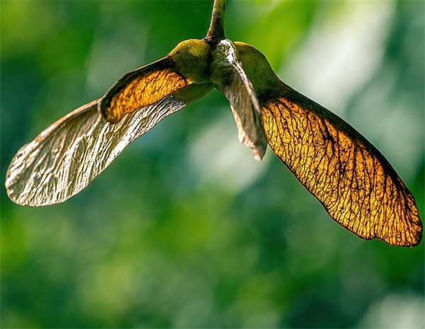 职工之家建设方案范例6篇