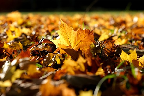 山村春色范例6篇