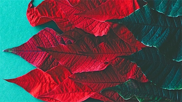 描写人很疲惫的句子 描写人疲惫不堪的句子