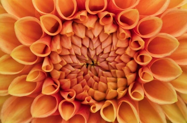 后悔的优美句子63句