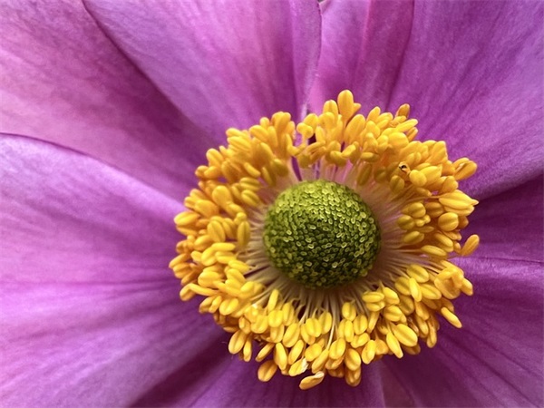 周末问候客户短信大全(周末问候客户的微信短语)