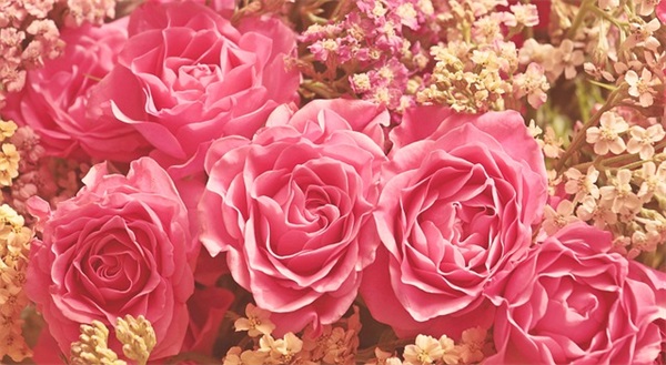 吴世勋qq网名韩文