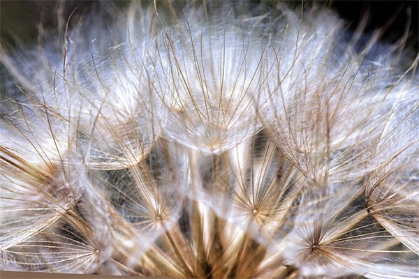 愚人节的笑话85句