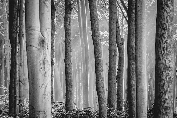 端午节寄语卡片83句