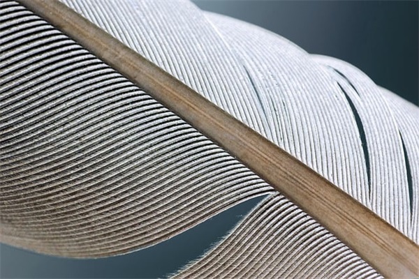 挽回女友的话82句