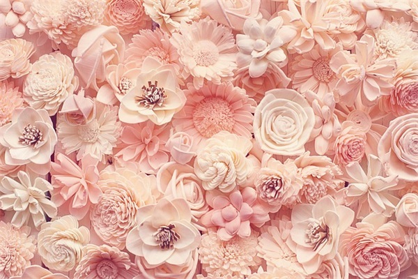 14岁青春寄语-60句