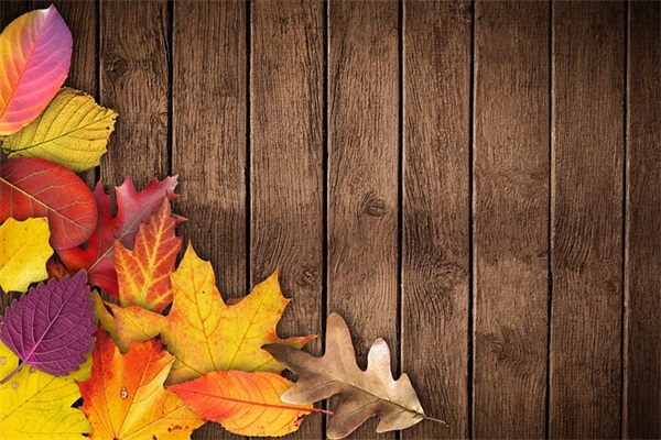 大班升一年级家长寄语对孩子寄语-55句