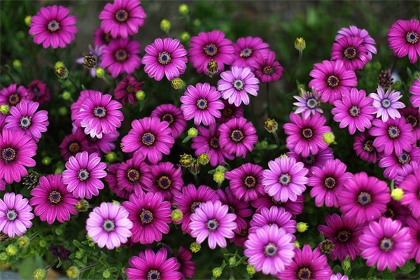 上初中了给孩子的寄语-100句