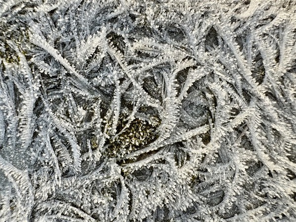 励志哲理句子短81句