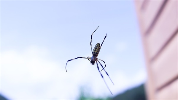 精神小伙文案短句(精神小伙文案句子)