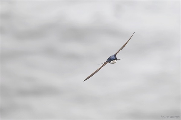 伤感的暖心的毕业句子 送给闺蜜的最暖心的话