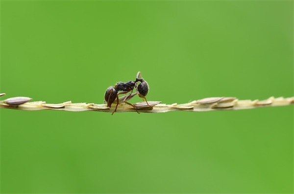 激励女人们好好爱自己的一句话 女人要舍得保养自己句子