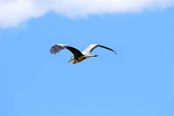 感恩相遇的句子 感恩相遇美好的句子
