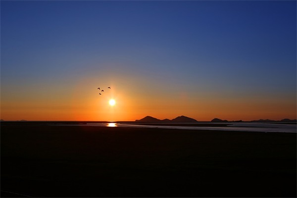 关于借口的句子76句