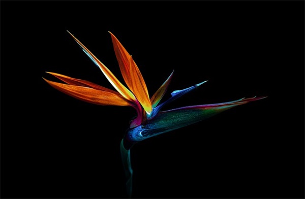 被友情背叛的句子76句