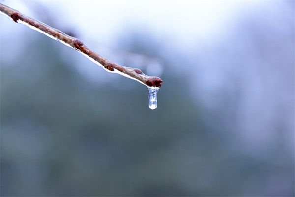 表达心情伤感的句子80句