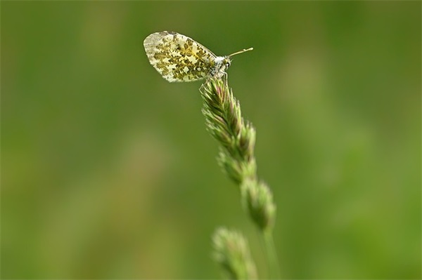 郭敬明关于爱情的句子80句