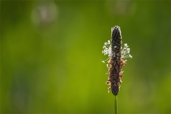 找些伤感的句子99句