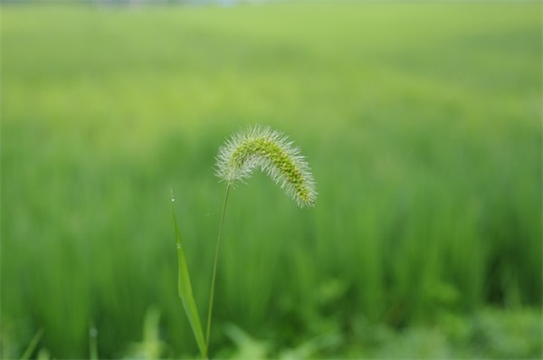 超暖心的友情句子简短好听