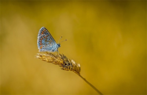 激励人心的霸气的句子