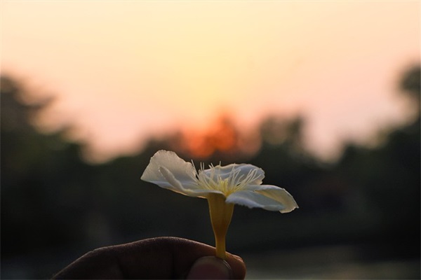 享受人独处的句子 孤独的最高境界话