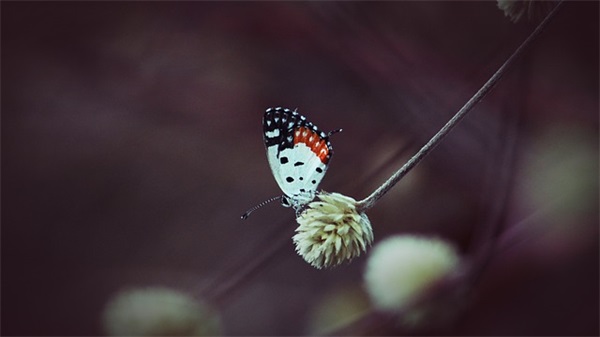 一些励志正能量的句子 正能量激励人的短句子