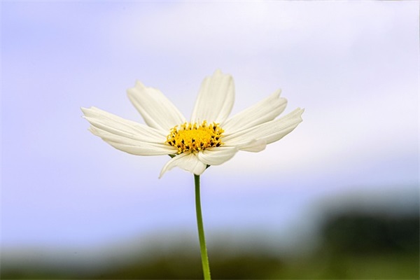 祝事业有成的霸气句子 祝福朋友事业有成的话