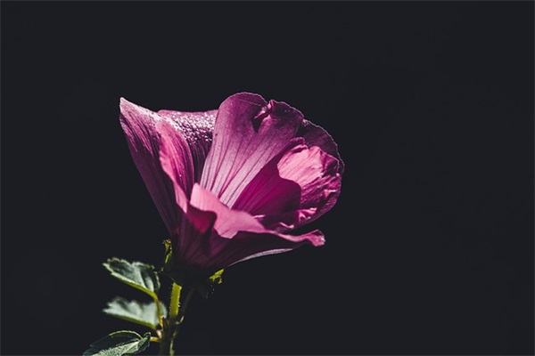 很有意境的微信昵称(共419个)