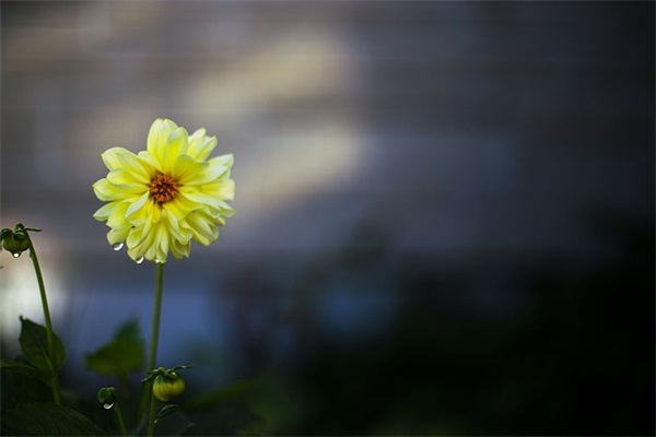 qq网名带青春字的