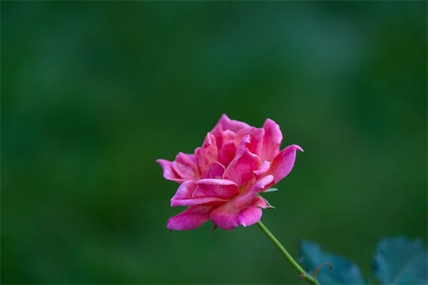 带白字的网名词语