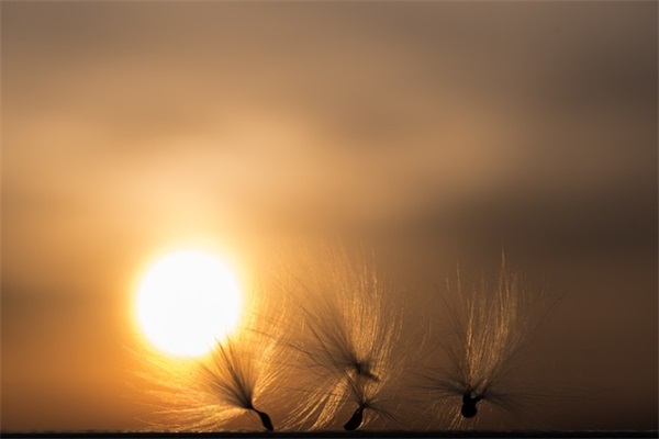 带宝贝名字的快手网名大全