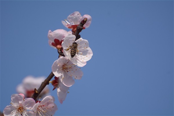 超好听的lol游戏名字