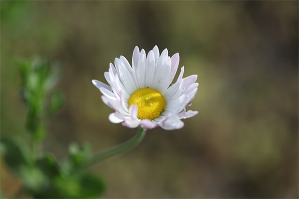 笑到窒息的沙雕名字(优选393个)