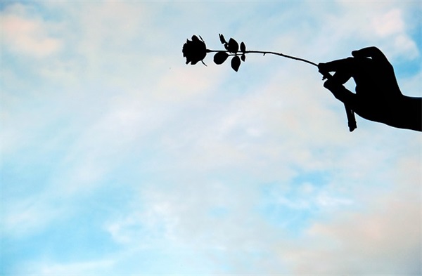 bilibili三个字id(优选440个)