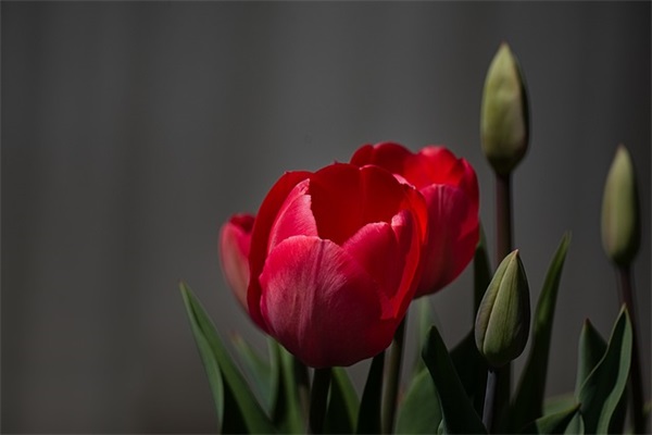 最新适合00后的女生的好听昵称(共376个)