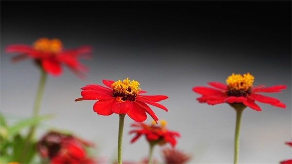 非主流的女孩名字大全(共383个)