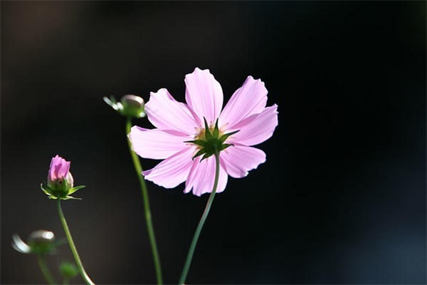 初中暑假家长寄语怎么写 【初中生暑假家长寄语】