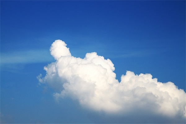 对幼儿园小朋友的毕业寄语 【对幼儿园小朋友的毕业寄语大全】