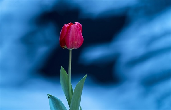 给幼儿园毕业的孩子的寄语 【写给幼儿园毕业孩子的祝福语】