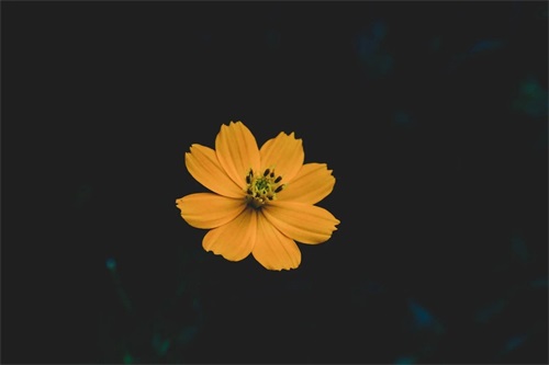 ​寓意阳光开朗的男孩名字（1123个）