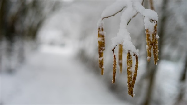 感恩节父亲对孩子寄语 【感恩节父亲对孩子说的话】