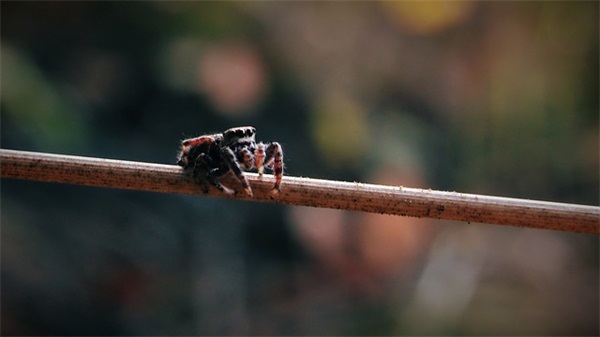 毕业生入职寄语 【毕业生入职感言】