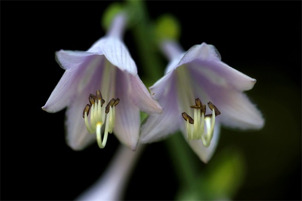 大班毕业典礼园长寄语 【幼儿园大班毕业典礼园长寄语发言稿】