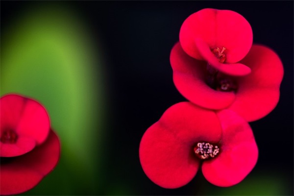 父亲节给爸爸的寄语 【父亲节给爸爸的寄语简短】