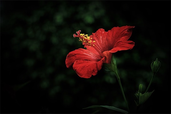 老师对幼儿寄语鼓励简短的话 【老师对幼儿的期望和鼓励的话】