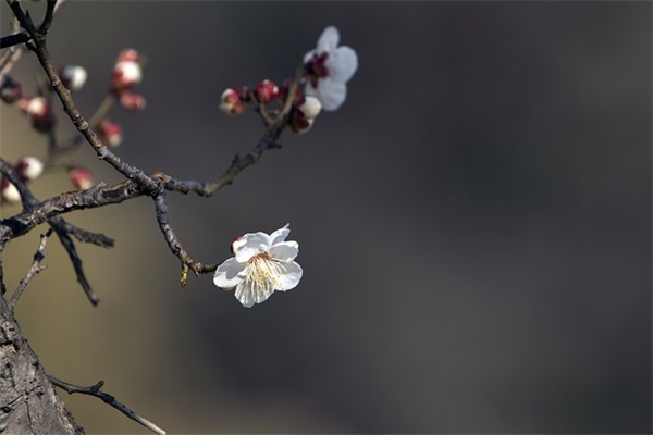 离别寄语同学-97句