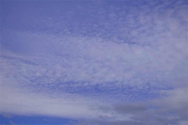 幼儿毕业对老师的寄语 【幼儿毕业对老师的祝福语大全】