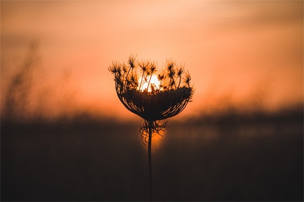 六年级毕业生家长对同学们的寄语-91句