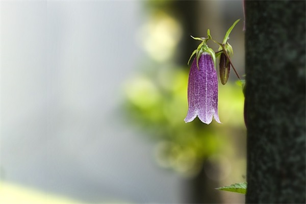 毕业典礼历史老师寄语-93句